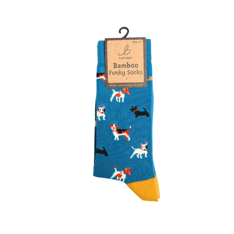 Bartleby Ladies Funky Bamboo Socks-1