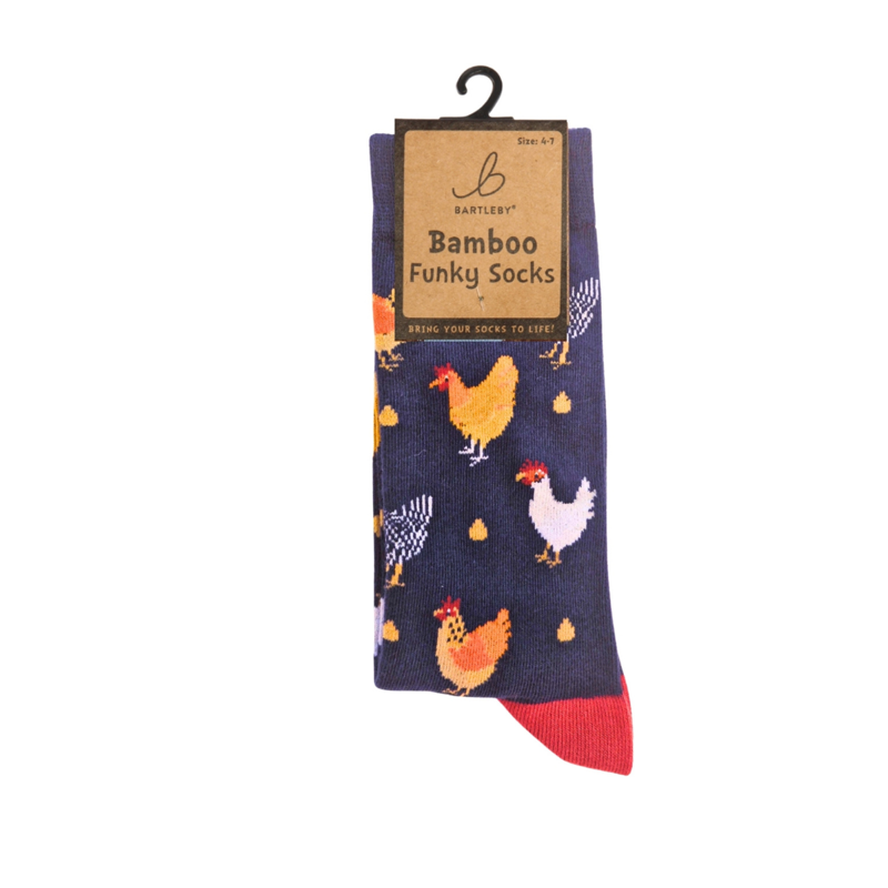 Bartleby Ladies Funky Bamboo Socks-5