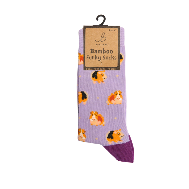 Bartleby Ladies Funky Bamboo Socks-3