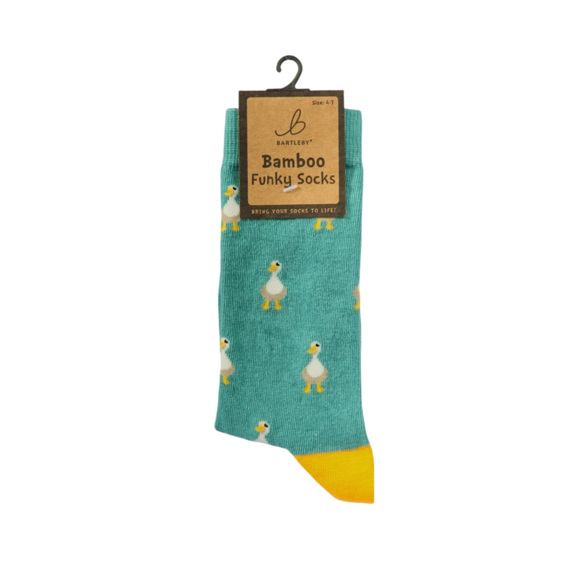 Bartleby Ladies Funky Bamboo Socks-6