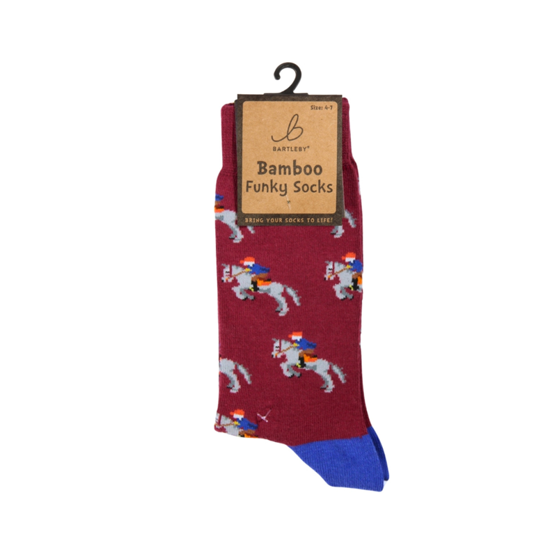 Bartleby Ladies Funky Bamboo Socks-3