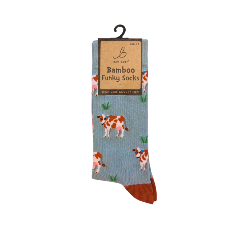 Bartleby Ladies Funky Bamboo Socks-2