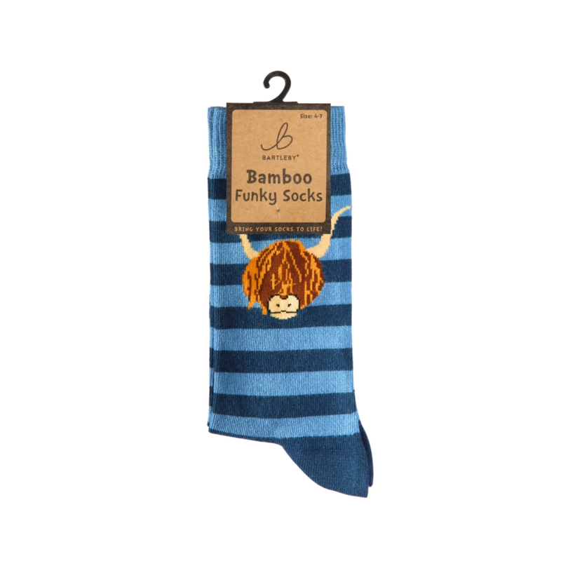 Bartleby Ladies Funky Bamboo Socks-4