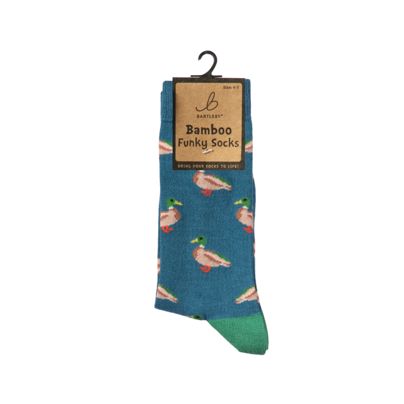 Bartleby Ladies Funky Bamboo Socks-1