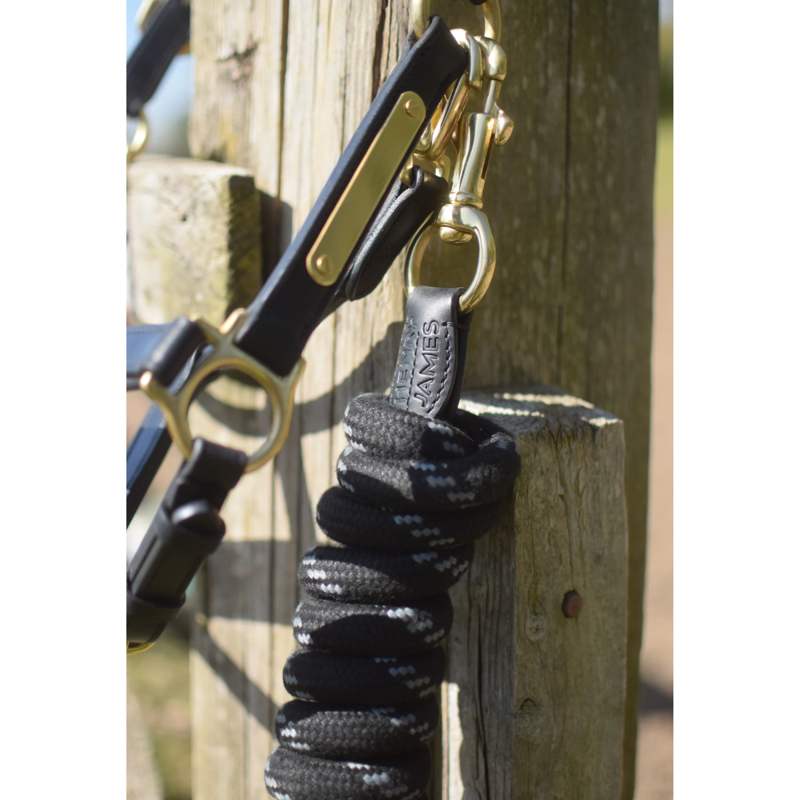 Henry James Leather Headcollar and Premium Leadrope with a Branded Shopper Bag-4