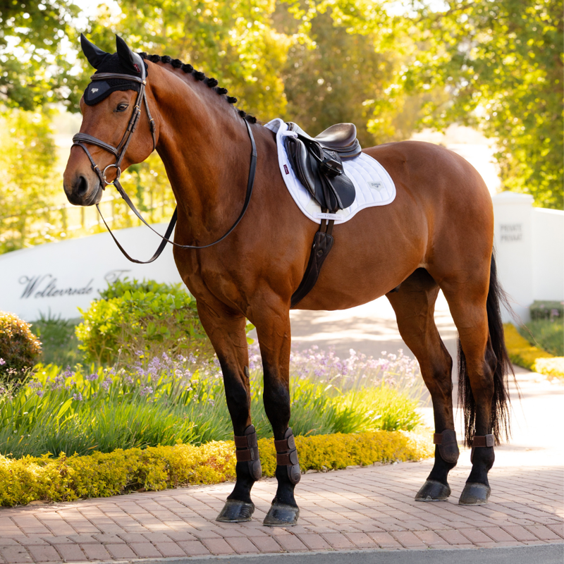 LeMieux Loire Classic GP Square - White-1