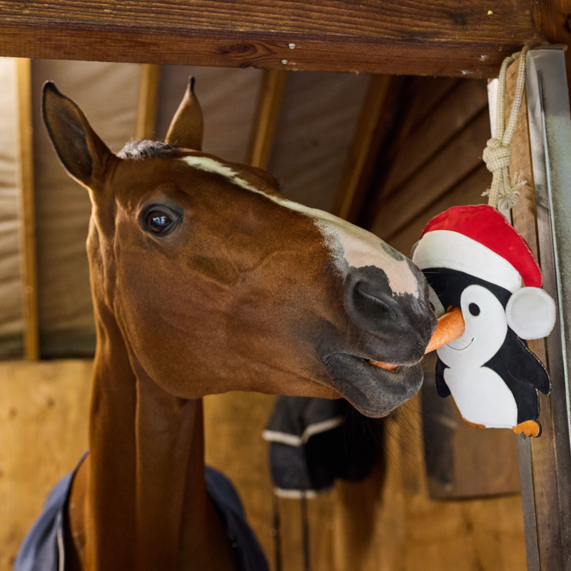 LeMieux Horse Toy - Penguin-1