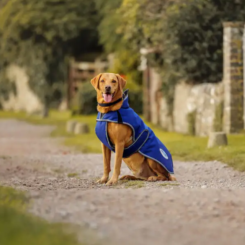 WeatherBeeta ComFiTec Premier Free Parka Deluxe Dog Coat Medium - Dark Blue/Grey/White-2