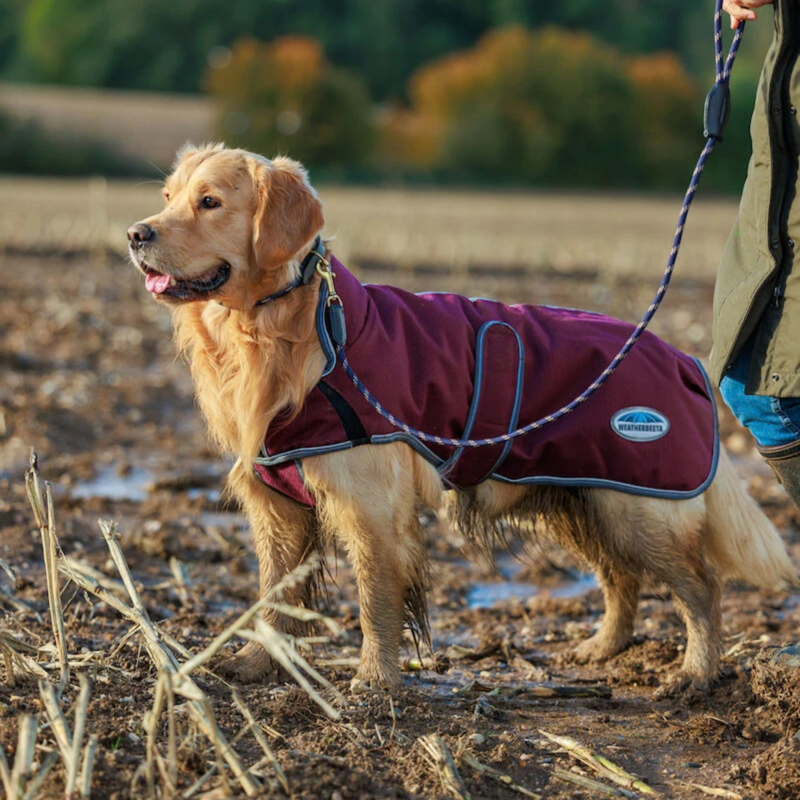 WeatherBeeta ComFiTec Premier Free Parka Deluxe Dog Coat Medium - Maroon/Grey/White-3