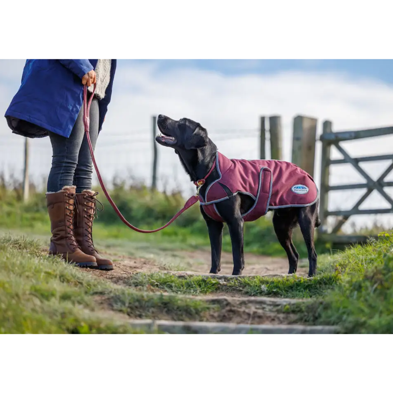 WeatherBeeta ComFiTec Premier Free Parka Deluxe Dog Coat Medium - Maroon/Grey/White-4