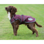 WeatherBeeta ComFiTec Premier Free Parka Deluxe Dog Coat Medium - Maroon/Grey/White