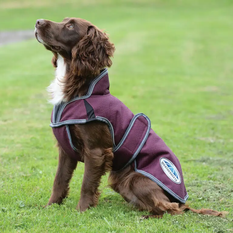 WeatherBeeta ComFiTec Premier Free Parka Deluxe Dog Coat Medium - Maroon/Grey/White-1