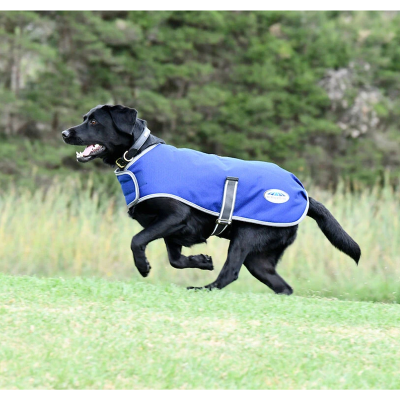 WeatherBeeta ComFiTec Premier Free Parka Dog Coat Medium - Dark Blue/Grey/White-1