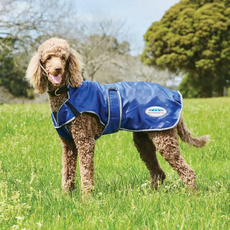WeatherBeeta ComFiTec Windbreaker Free Deluxe Dog Coat - Dark Blue/Grey/White-1