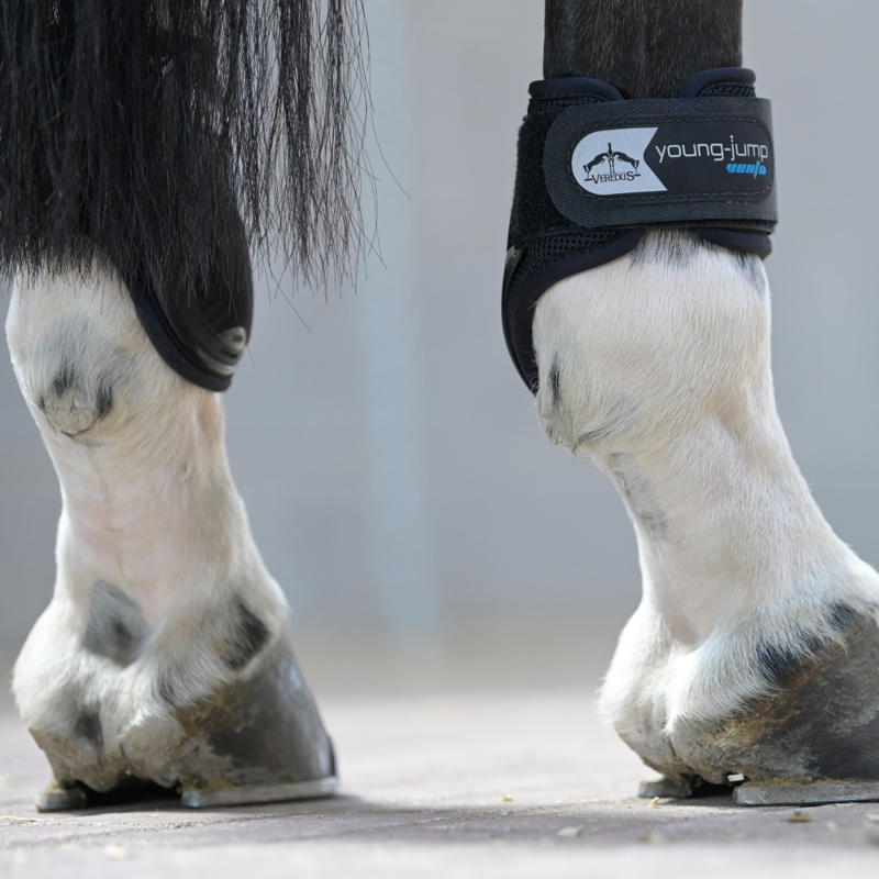 Veredus Young Jump Vento Fetlock Boot - Black-4