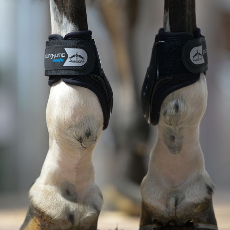 Veredus Young Jump Vento Fetlock Boot - Black-3