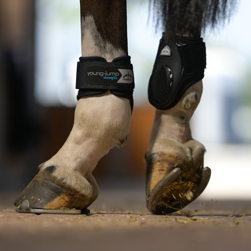 Veredus Young Jump Vento Fetlock Boot - Black-1