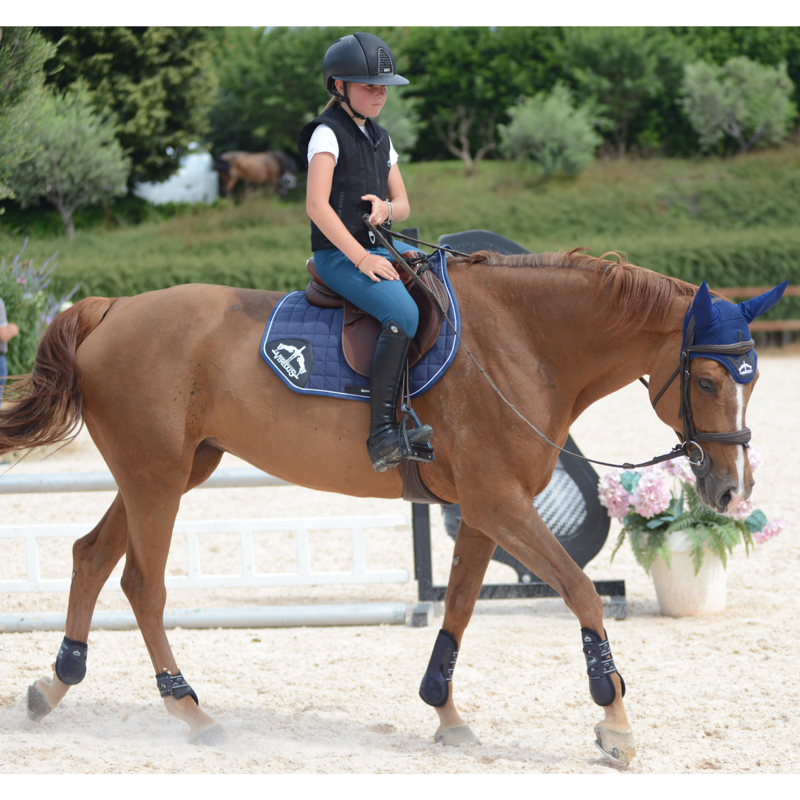 Veredus TRPro H5 Front Tendon Boots - Blue-5