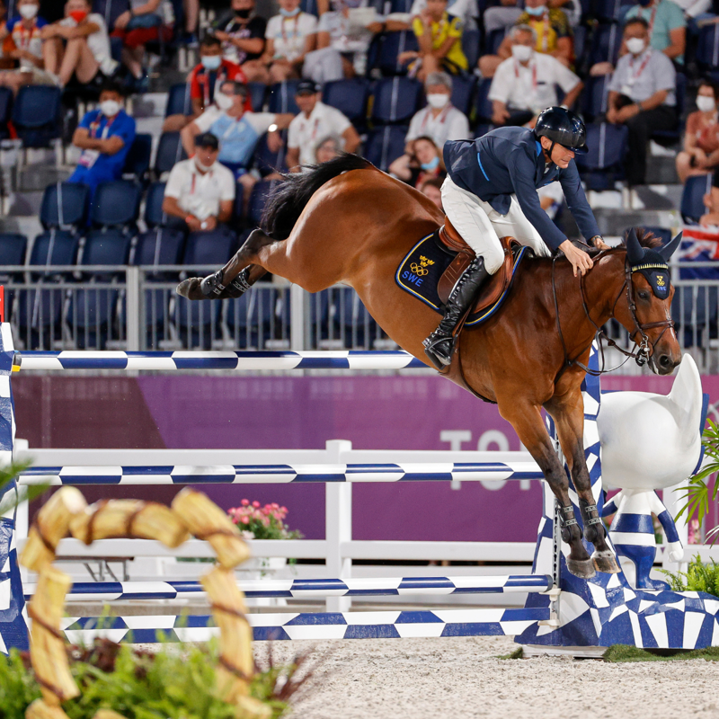 Veredus Pro Jump Elastic Fetlock Boots - Black-3