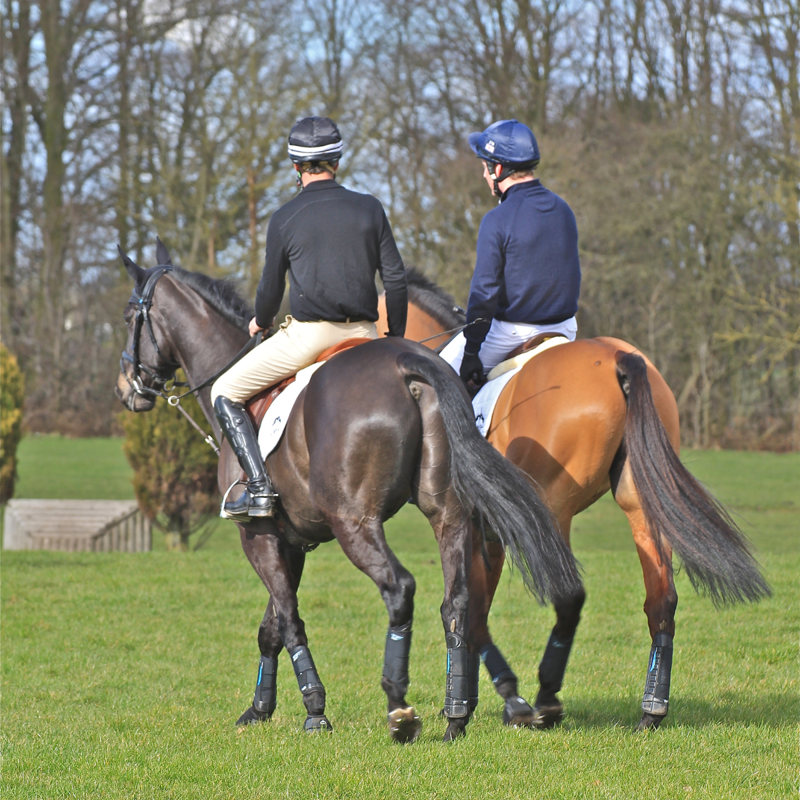 Veredus E-Vento Cross Country Boot - Hind - Black-4