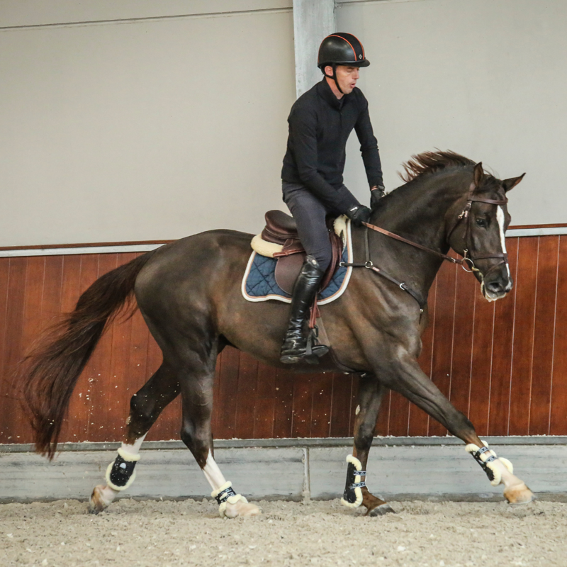 Veredus Save The Sheep Carbon Gel Vento Front Tendon Boot - Black-11