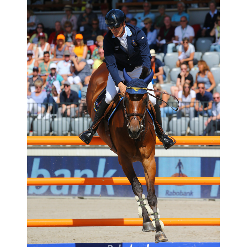 Veredus Save The Sheep Carbon Gel Vento Front Tendon Boot - Black-7