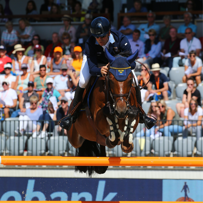 Veredus Save The Sheep Carbon Gel Vento Front Tendon Boot - Black-5