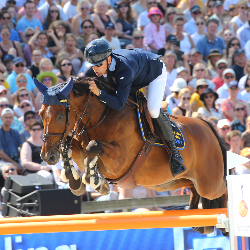 Veredus Save The Sheep Carbon Gel Vento Front Tendon Boot - Black-4