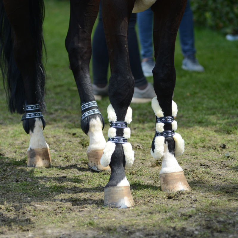 Veredus Save The Sheep Carbon Gel Vento Front Tendon Boot - Black-3