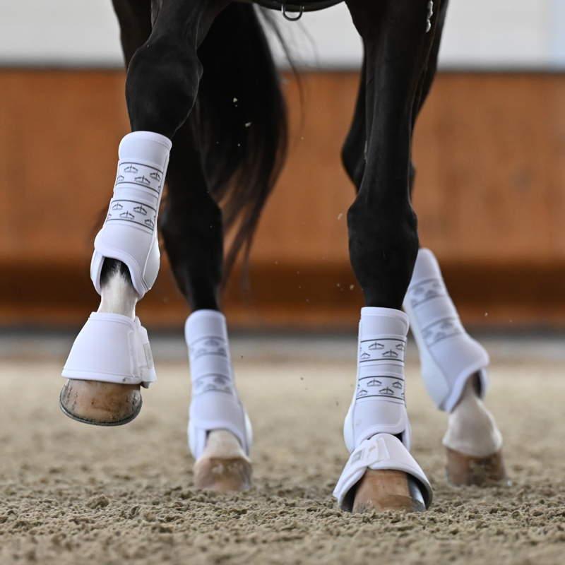 Veredus Absolute Rear Elastic Dressage Boot - White-3