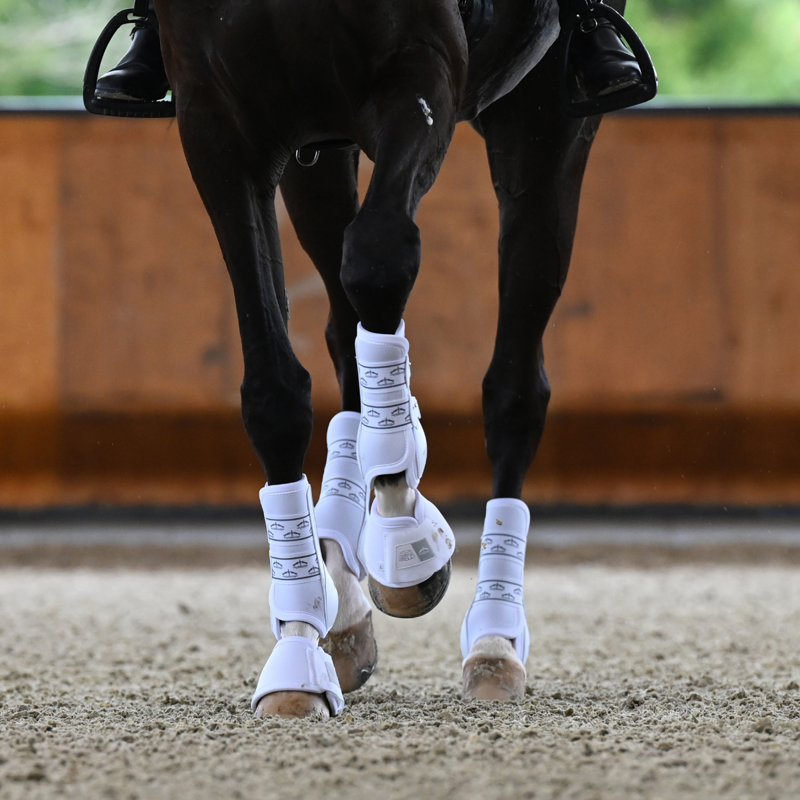 Veredus Absolute Rear Elastic Dressage Boot - White-2