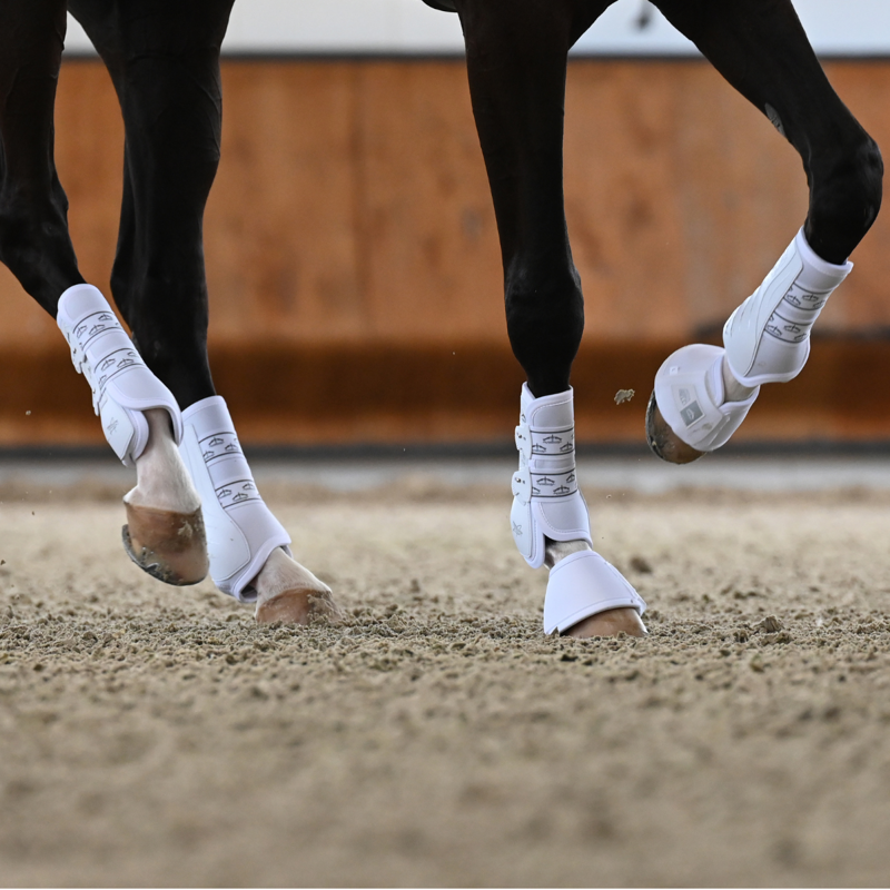 Veredus Absolute Rear Elastic Dressage Boot - White-1