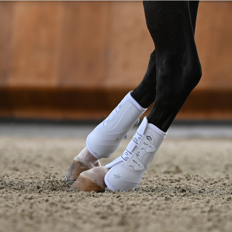 Veredus Absolute Rear Elastic Dressage Boot - White-4