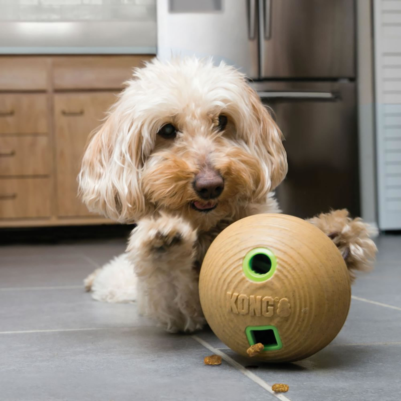 KONG Bamboo Feeder Ball Dog Toy - Medium-1