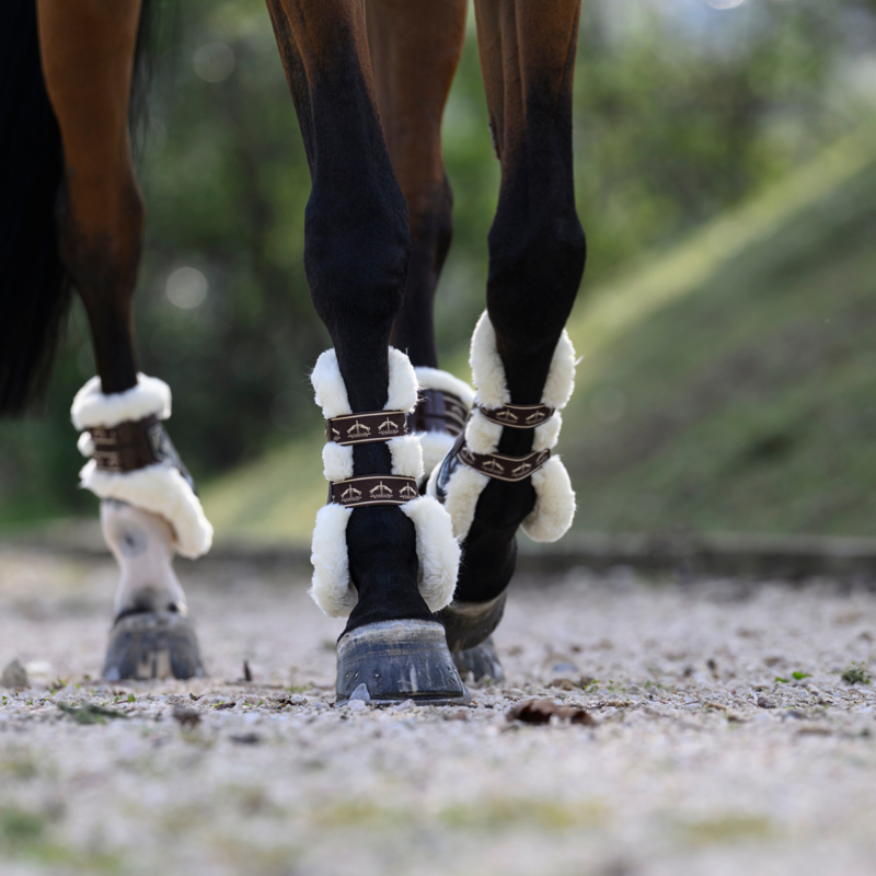 Veredus Carbon Gel Absolute Save the Sheep Tendon Boots - Brown-4