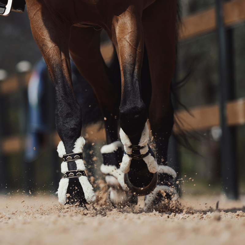 Veredus Carbon Gel Absolute Save the Sheep Tendon Boots - Black-7