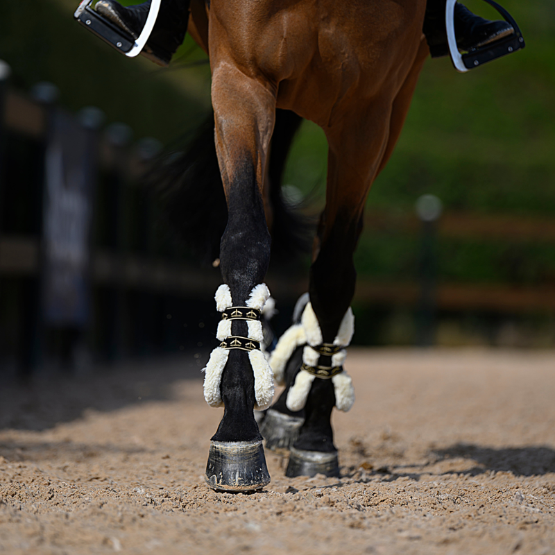 Veredus Carbon Gel Absolute Save the Sheep Tendon Boots - Black-8