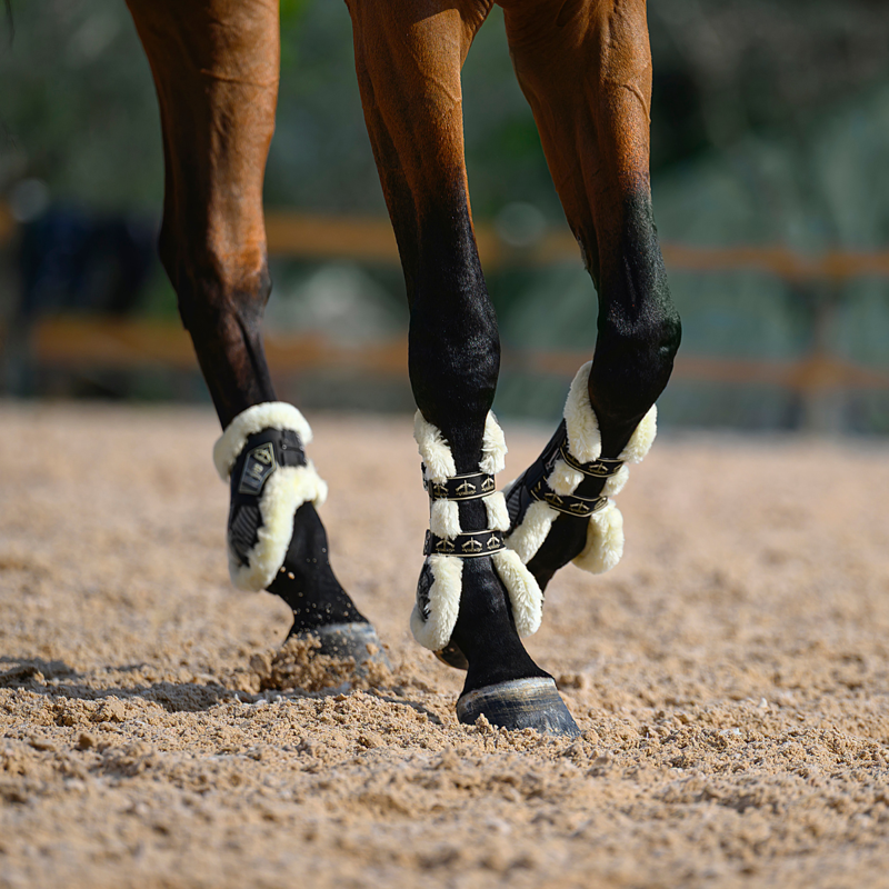 Veredus Carbon Gel Absolute Save the Sheep Tendon Boots - Black-4