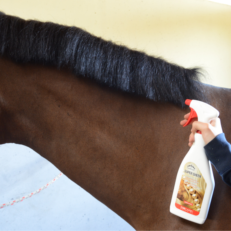 Veredus Super Sheen-4