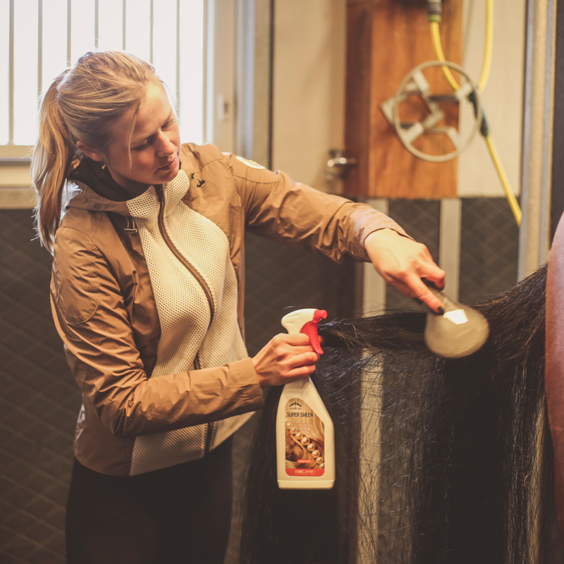 Veredus Super Sheen-1