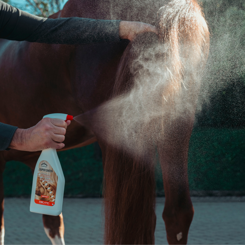 Veredus Super Sheen-2