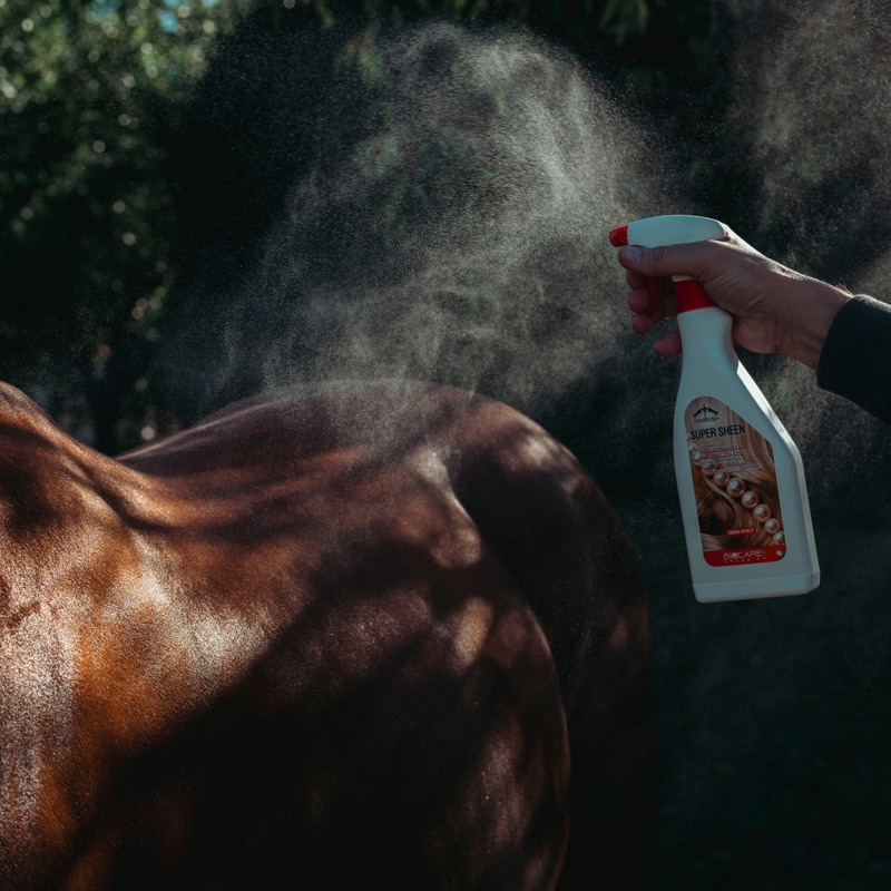 Veredus Super Sheen-3