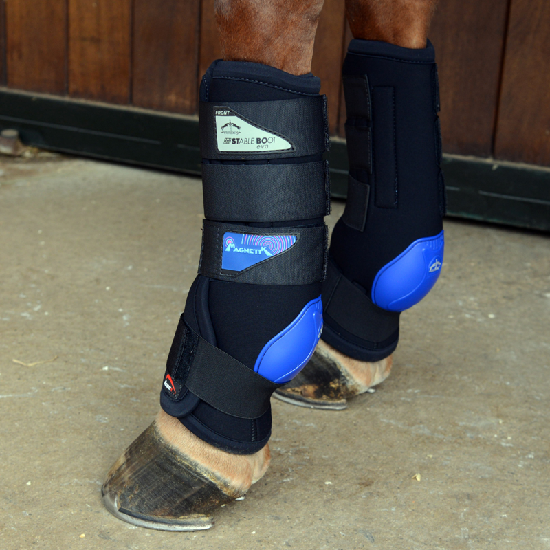 Veredus Magnetik Stable Boots EVO Front - Black-1