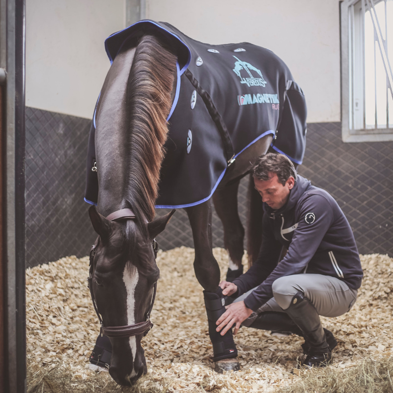 Veredus Magnetik Rug - Black-3