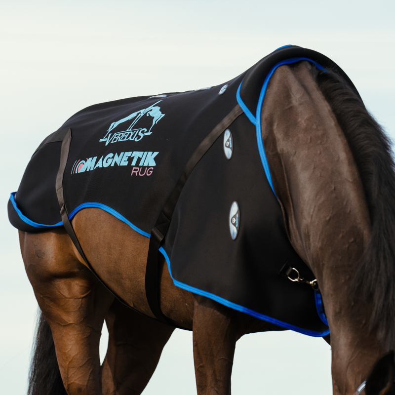 Veredus Magnetik Rug - Black-5