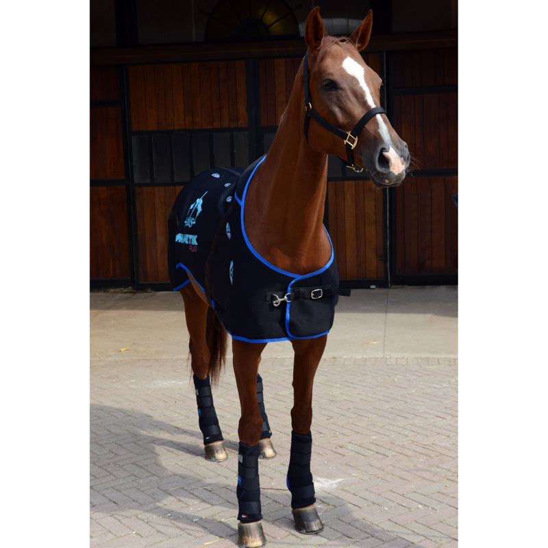 Veredus Magnetik Rug - Black-6