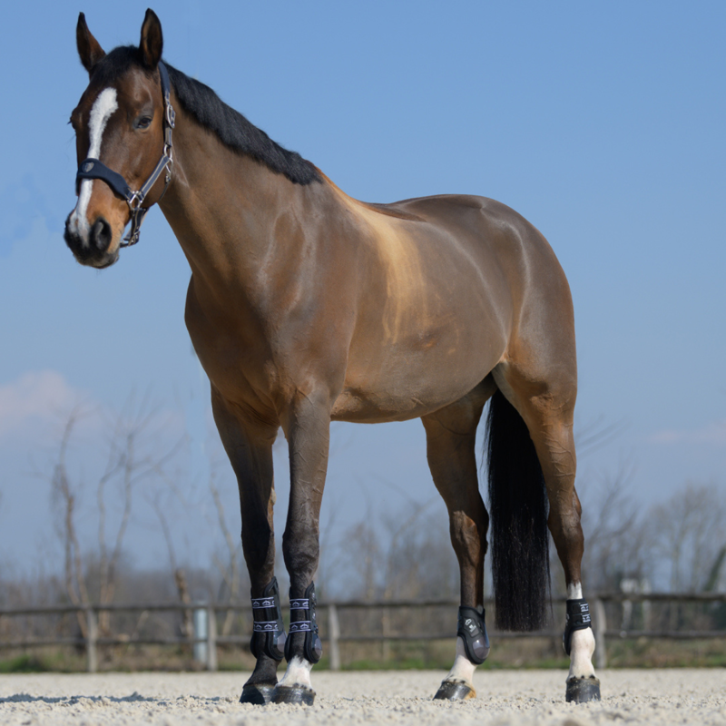 Veredus Olympus Absolute Rear Fetlock Boot - Black-2