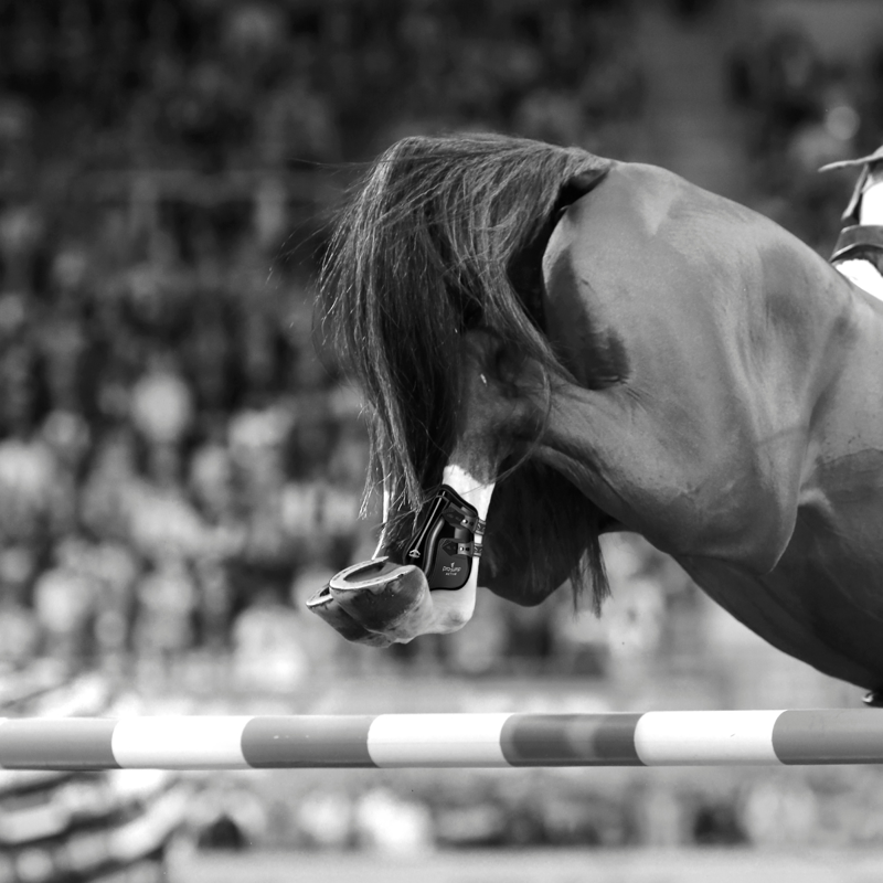 Veredus Pro Jump Active Fetlock Boots - Black-4