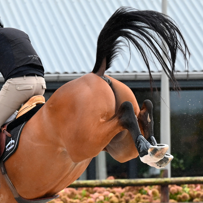 Veredus Pro Jump Active Fetlock Boots - Black-5