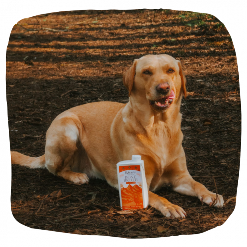 Eden Bone Broth - 500ml-6